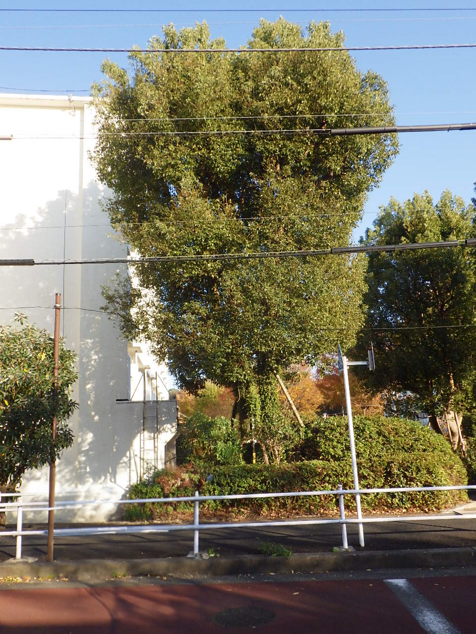 施工事例