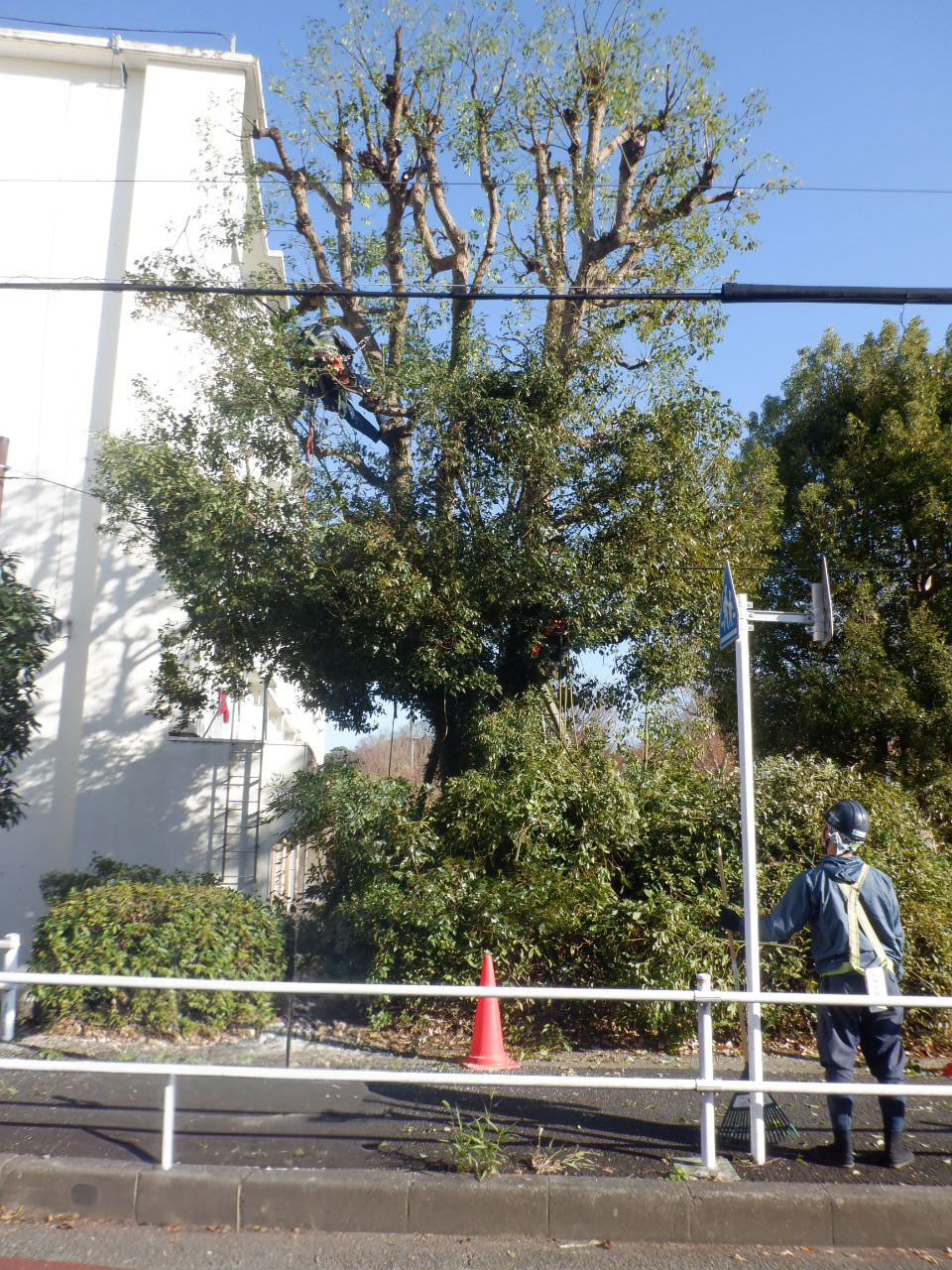作業中