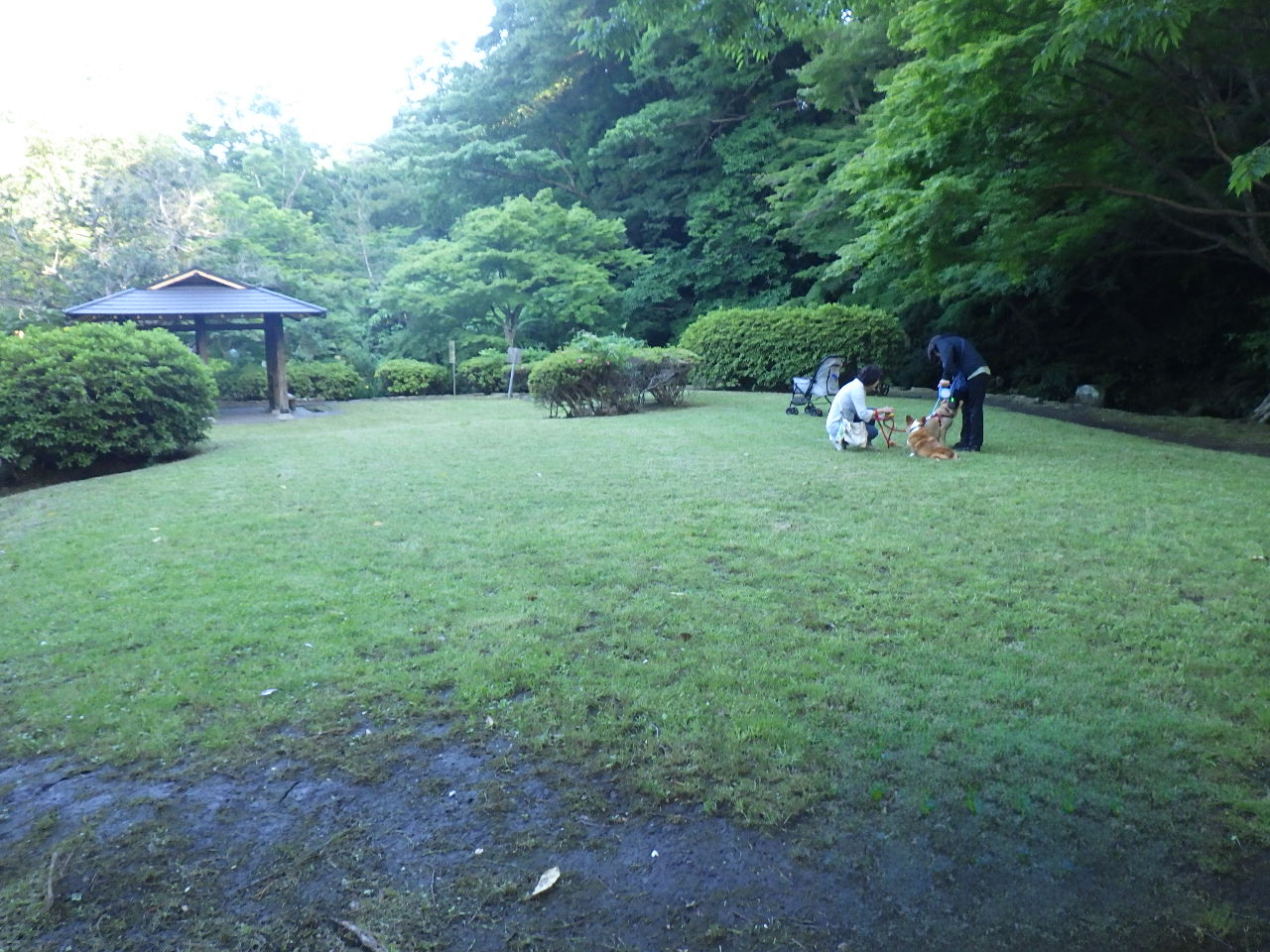 作業後