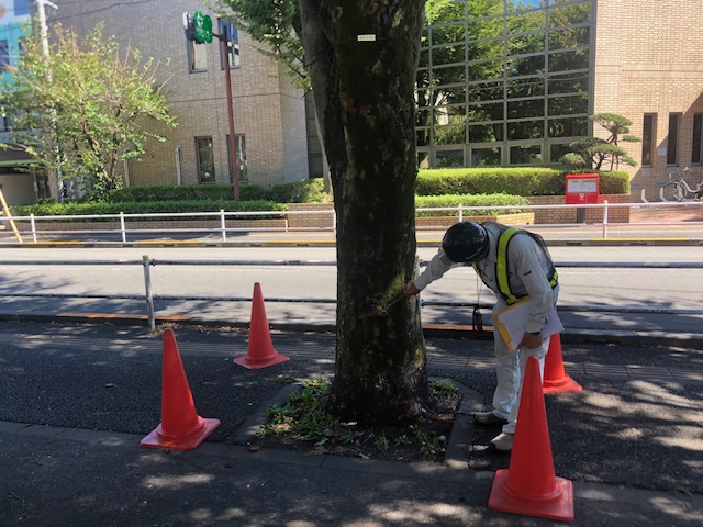 打診音で確認